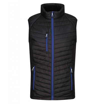 Regatta Navigate Hybrid Bodywarmer, Black/New Royal Blue, Custom Print